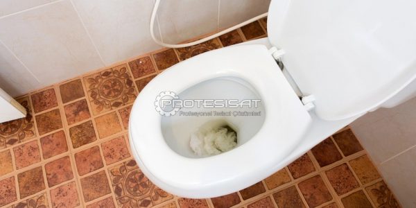tuvalet kağıdı nereye atılır